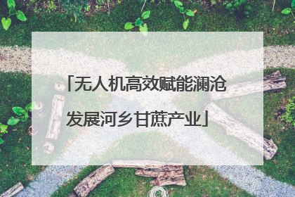 无人机高效赋能澜沧发展河乡甘蔗产业