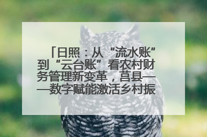 日照：从“流水账”到“云台账”看农村财务管理新变革，莒县——数字赋能激活乡村振兴“一池春水”