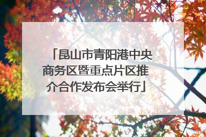 昆山市青阳港中央商务区暨重点片区推介合作发布会举行