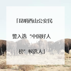 昆明西山公安民警入选“中国好人榜”候选人