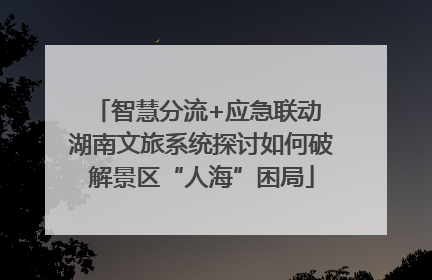 智慧分流+应急联动 湖南文旅系统探讨如何破解景区“人海”困局