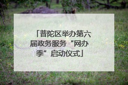 普陀区举办第六届政务服务“网办季”启动仪式