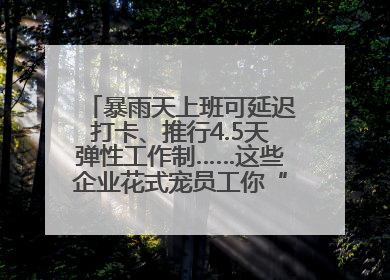 暴雨天上班可延迟打卡、推行4.5天弹性工作制……这些企业花式宠员工你“慕”了吗？