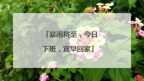 暴雨将至，今日下班，宜早回家