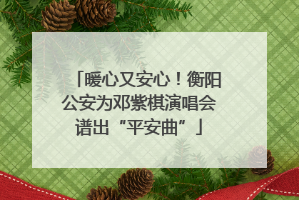 暖心又安心！衡阳公安为邓紫棋演唱会谱出“平安曲”