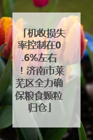 机收损失率控制在0.6%左右！济南市莱芜区全力确保粮食颗粒归仓