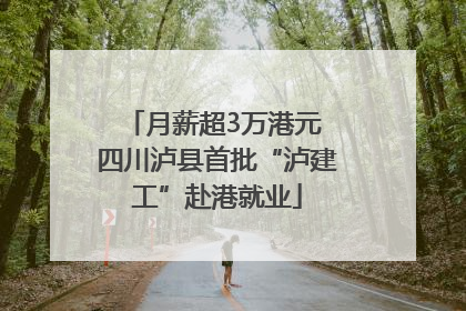 月薪超3万港元 四川泸县首批“泸建工”赴港就业