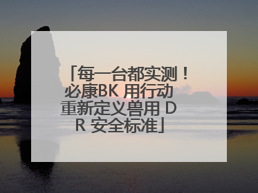 每一台都实测！必康BK 用行动重新定义兽用 DR 安全标准