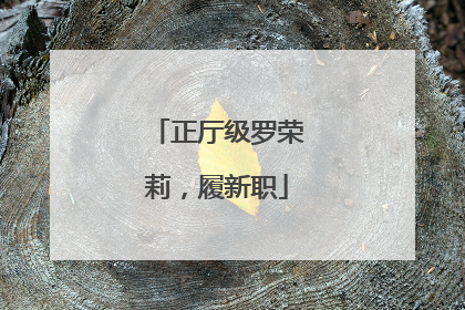 正厅级罗荣莉，履新职