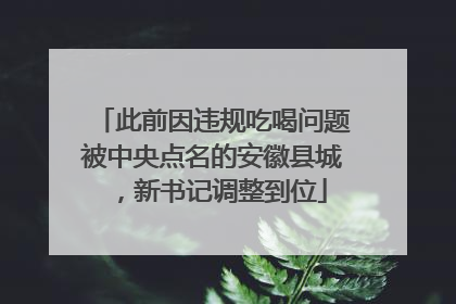 此前因违规吃喝问题被中央点名的安徽县城，新书记调整到位