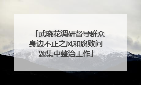 武晓花调研督导群众身边不正之风和腐败问题集中整治工作
