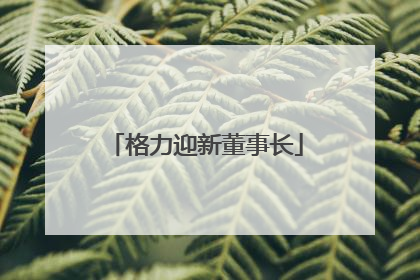 格力迎新董事长