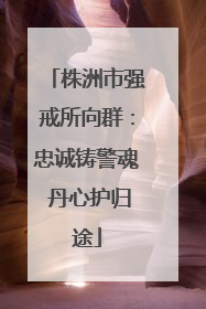株洲市强戒所向群：忠诚铸警魂 丹心护归途