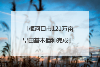 梅河口市121万亩旱田基本播种完成