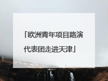 欧洲青年项目路演代表团走进天津