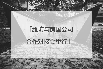 潍坊与跨国公司合作对接会举行