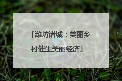 潍坊诸城：美丽乡村催生美丽经济