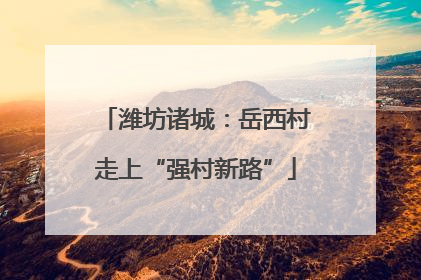 潍坊诸城：岳西村走上“强村新路”