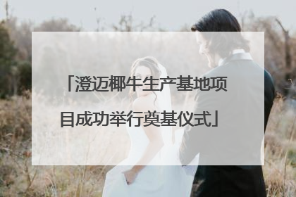 澄迈椰牛生产基地项目成功举行奠基仪式