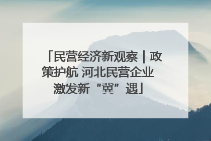 民营经济新观察｜政策护航 河北民营企业激发新“冀”遇