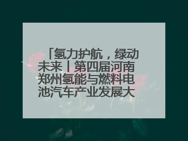 氢力护航，绿动未来丨第四届河南郑州氢能与燃料电池汽车产业发展大会启幕