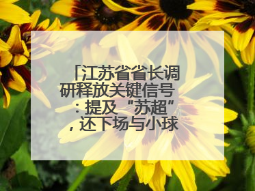 江苏省省长调研释放关键信号：提及“苏超”，还下场与小球员踢球互动