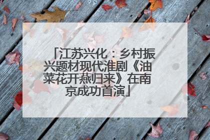 江苏兴化：乡村振兴题材现代淮剧《油菜花开燕归来》在南京成功首演