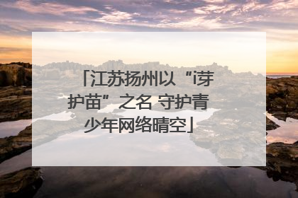 江苏扬州以“i芽护苗”之名 守护青少年网络晴空