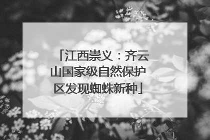 江西崇义：齐云山国家级自然保护区发现蜘蛛新种