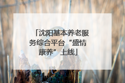 沈阳基本养老服务综合平台“盛情康养”上线