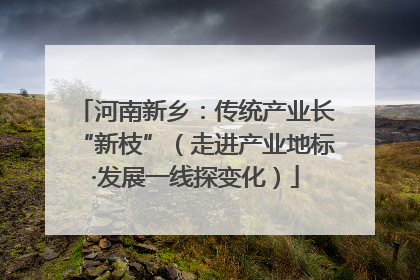 河南新乡：传统产业长“新枝”（走进产业地标·发展一线探变化）