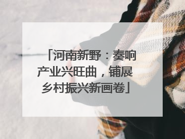 河南新野：奏响产业兴旺曲，铺展乡村振兴新画卷