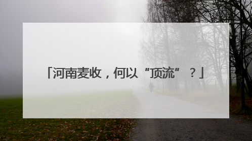 河南麦收，何以“顶流”？
