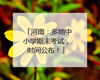 河南：多地中小学期末考试，时间公布！