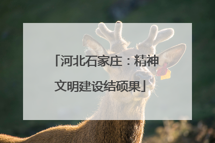 河北石家庄：精神文明建设结硕果