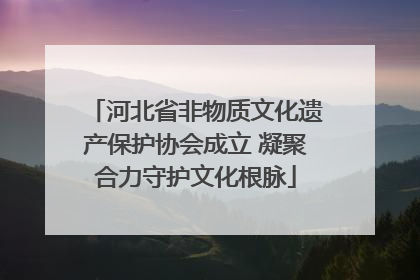 河北省非物质文化遗产保护协会成立 凝聚合力守护文化根脉