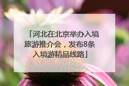 河北在北京举办入境旅游推介会，发布8条入境游精品线路