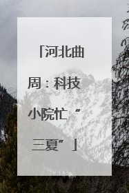 河北曲周：科技小院忙“三夏”