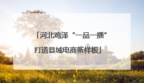 河北鸡泽“一品一播”打造县域电商新样板