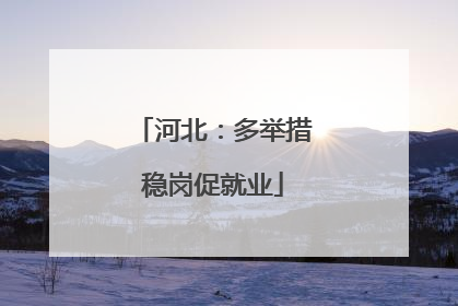 河北：多举措稳岗促就业