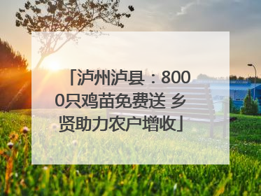 泸州泸县：8000只鸡苗免费送 乡贤助力农户增收