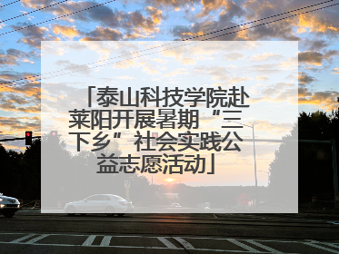 泰山科技学院赴莱阳开展暑期“三下乡”社会实践公益志愿活动