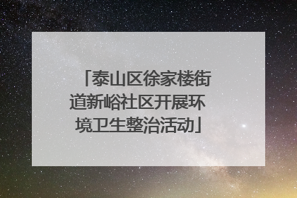 泰山区徐家楼街道新峪社区开展环境卫生整治活动