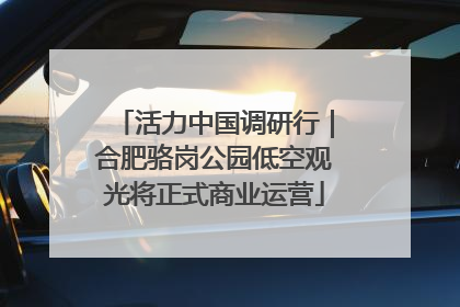 活力中国调研行｜合肥骆岗公园低空观光将正式商业运营