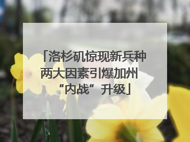 洛杉矶惊现新兵种 两大因素引爆加州“内战”升级