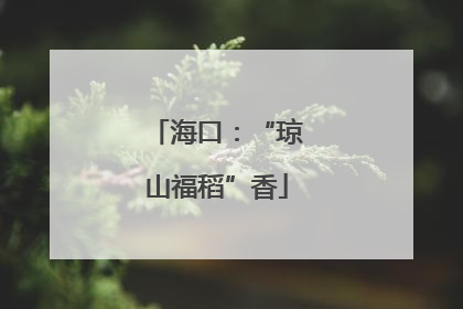 海口：“琼山福稻”香