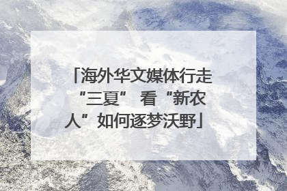 海外华文媒体行走“三夏” 看“新农人”如何逐梦沃野