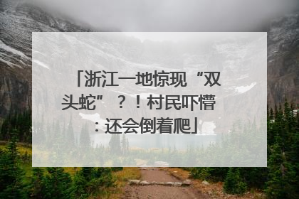 浙江一地惊现“双头蛇”？！村民吓懵：还会倒着爬