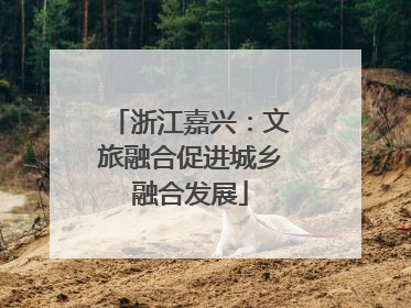 浙江嘉兴：文旅融合促进城乡融合发展