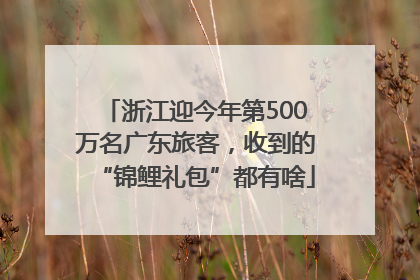 浙江迎今年第500万名广东旅客，收到的“锦鲤礼包”都有啥